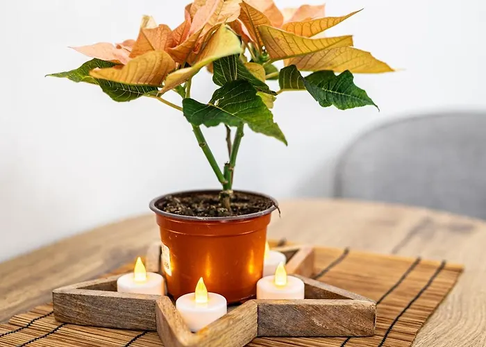 Terrace Apartament Budapesta